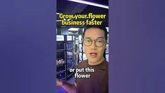 おい 花屋さん お店の経営者 お店の経営者 お店の経営者 お店の経営者 お店の経営者 お店の経営者