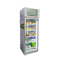 新鮮な果物の冷却装置のタッチ画面が付いている野菜農産物の自動販売機